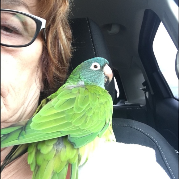 Meet your Posher, Connie - Picture 2 of 2